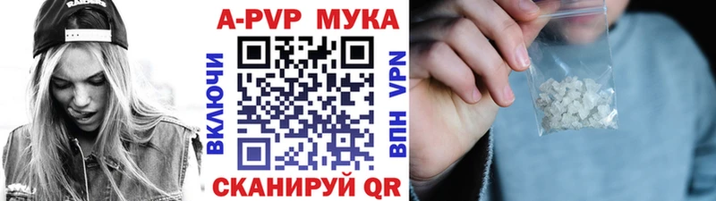 Alfa_PVP СК Калининец