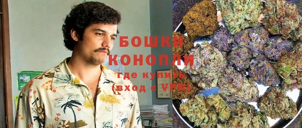 метадон Белокуриха