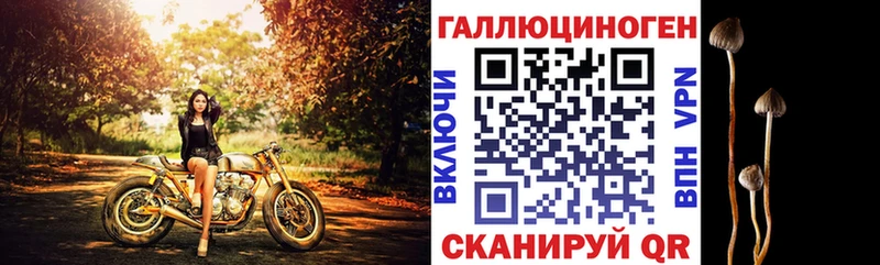 Галлюциногенные грибы Psilocybine cubensis где можно купить Калининец